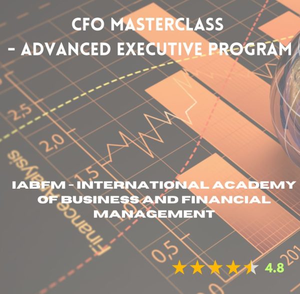 CFMP - Certified Financial Modelling Professional (2)